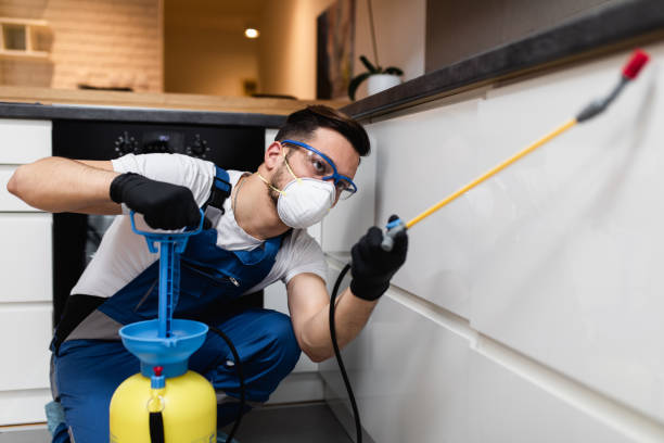 Best Bed Bug Extermination  in Southwest Sandhill, TX