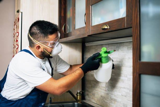Best Mosquito Control Services  in Southwest Sandhill, TX