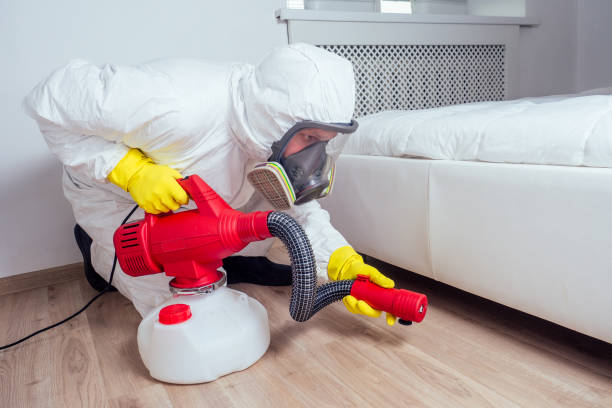 Trusted Southwest Sandhill, TX Pest Control Experts