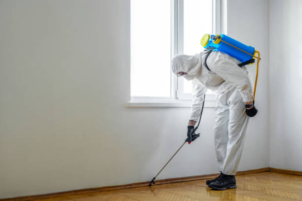 Best Rat Extermination Near Me  in Southwest Sandhill, TX
