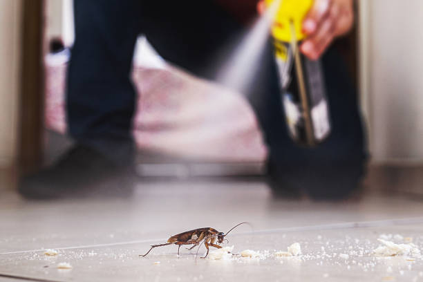 Best Pest Control Treatment  in Southwest Sandhill, TX